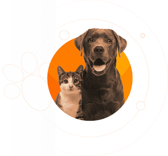Skub Petshop